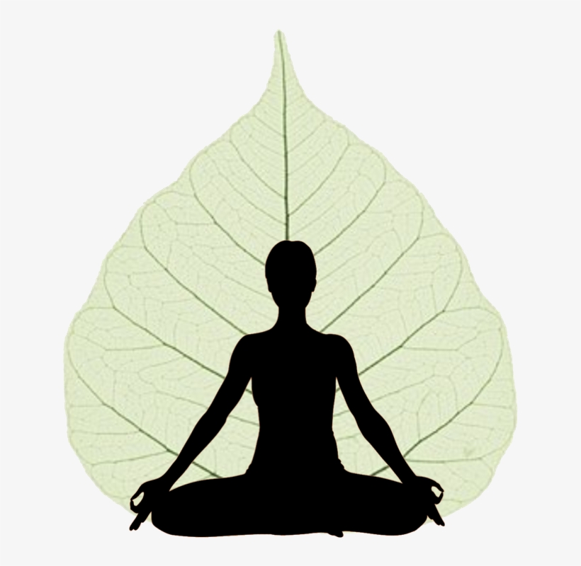 Beleaf Yoga Studio - Stickalz Llc Om Yoga Lotus Flower Vinyl Wall Art Decal, transparent png #1769142