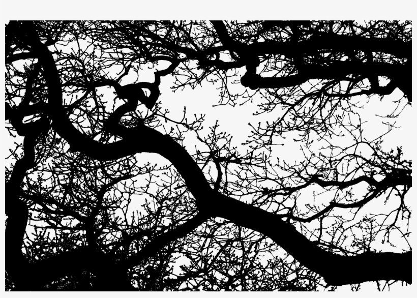 This Free Icons Png Design Of Sprawling Leafless Tree, transparent png #1769262