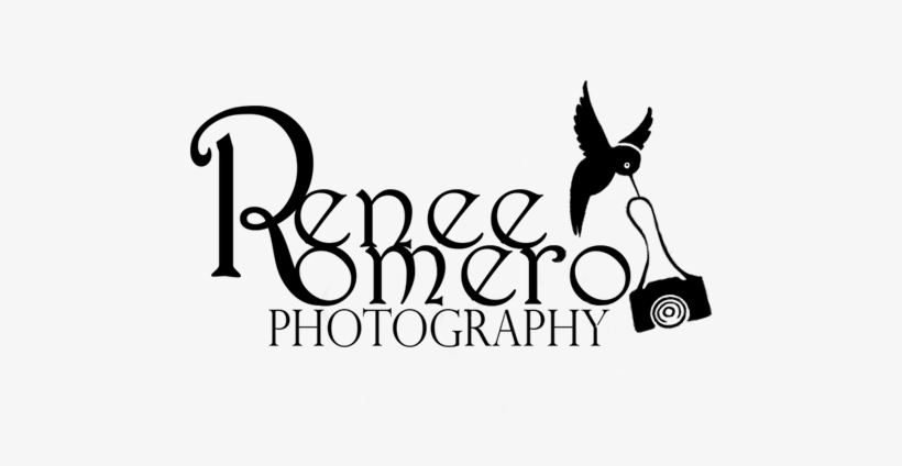 Renee Romero Photography » San Diego Portrait Photographer - Renee Romero Photography, transparent png #1769438
