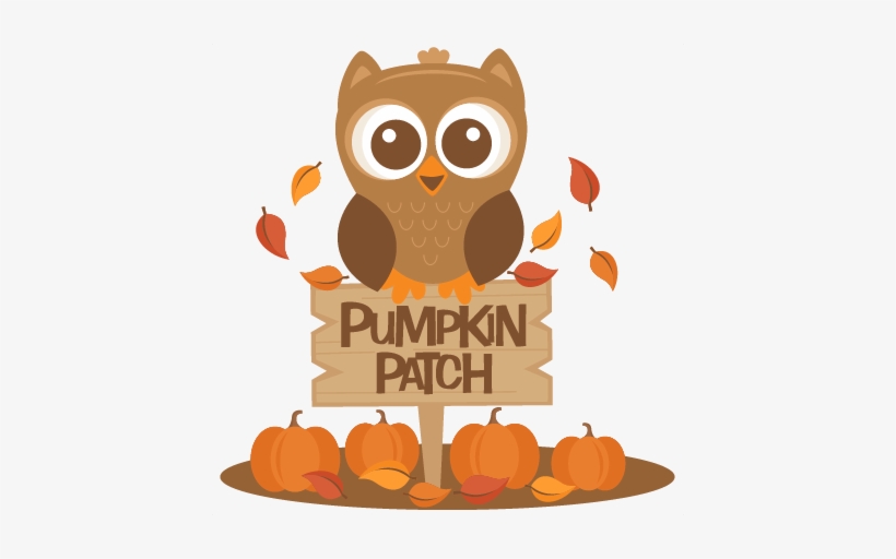 Owl In Pumpkin Patch Svg Scrapbook Cut File Cute Clipart - Cute Pumpkin Patch Clipart, transparent png #1769700