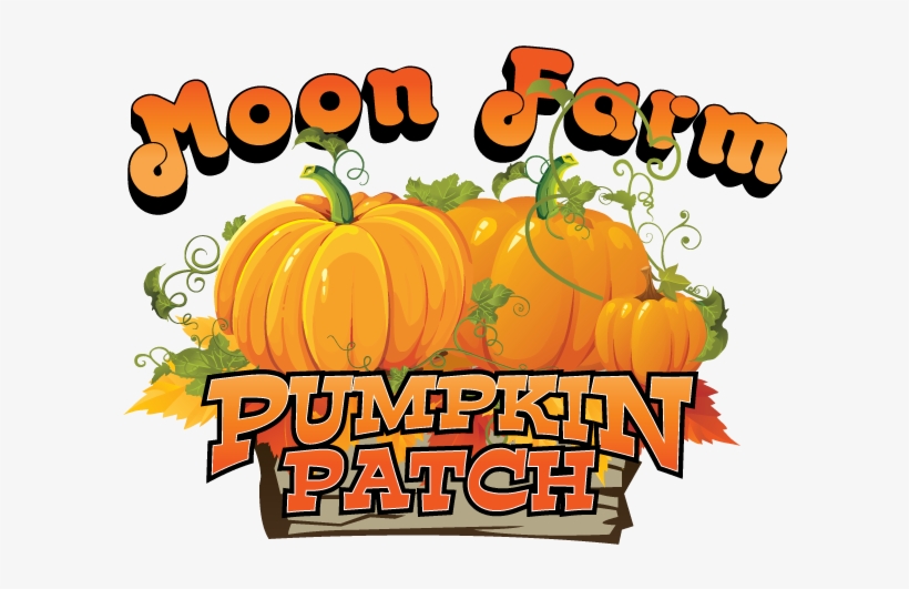 Pumpkin Patch - Sh-06d Aquos Phone/アクオスフォン 【2個以上 送料無料】 インパクト/ハロウィン, transparent png #1769770
