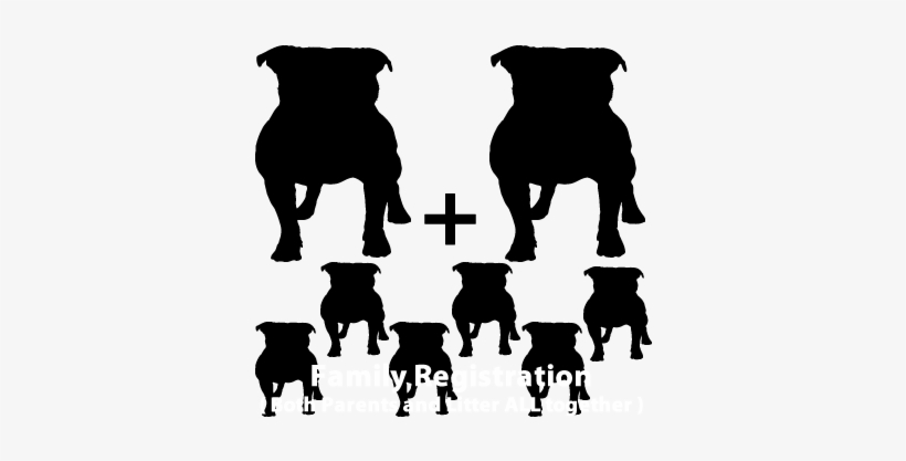 Family Online Registration - Ancient Dog Breeds, transparent png #1770452