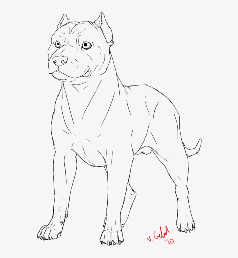 Pit Bull Lineart By Prinzeburnzo - Pitbull Anthro Lineart, transparent png #1770659