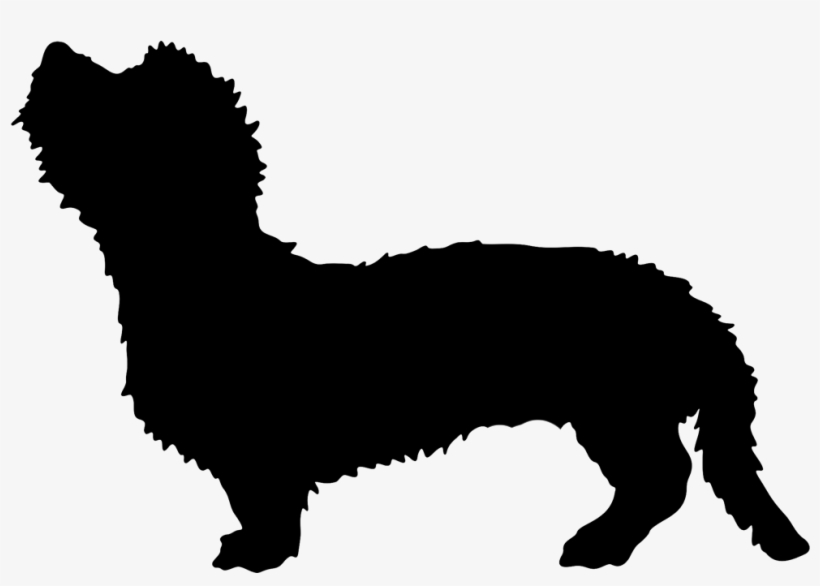Tell A Friend - Companion Dog, transparent png #1770694