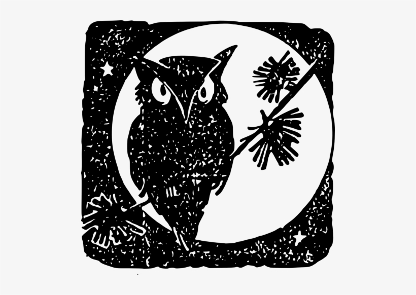 Owl, transparent png #1771051