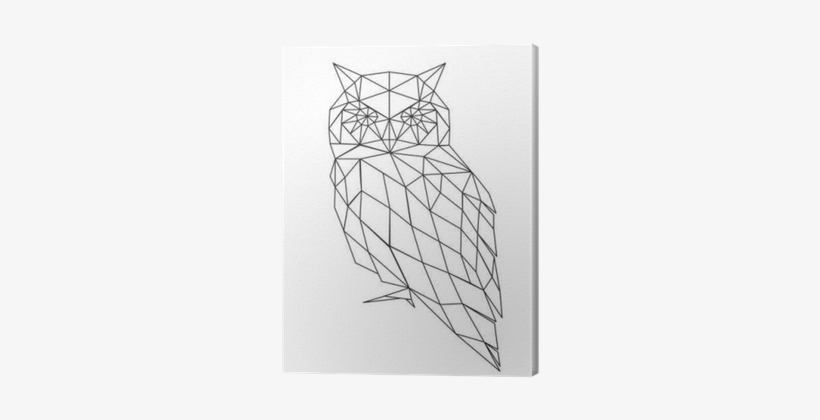 Owl Silhouette, transparent png #1771170