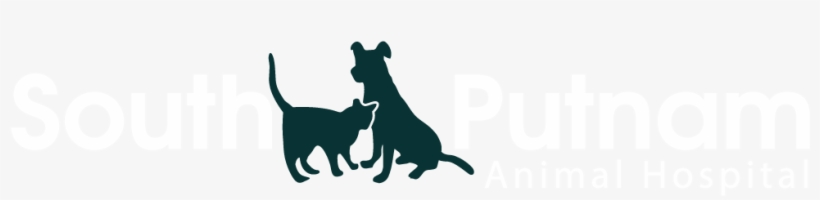 Logo, transparent png #1771196
