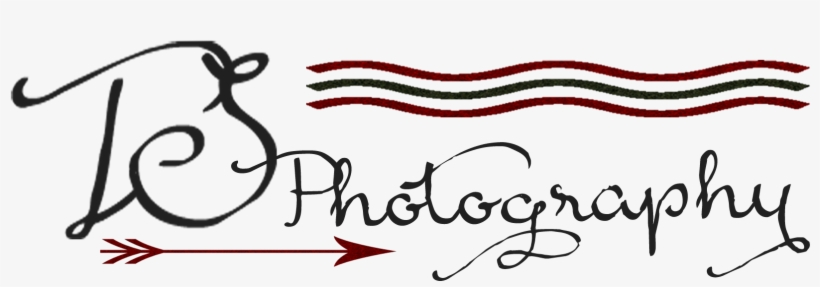 Sarah Toro - Ts Photography Logo Png, transparent png #1775596