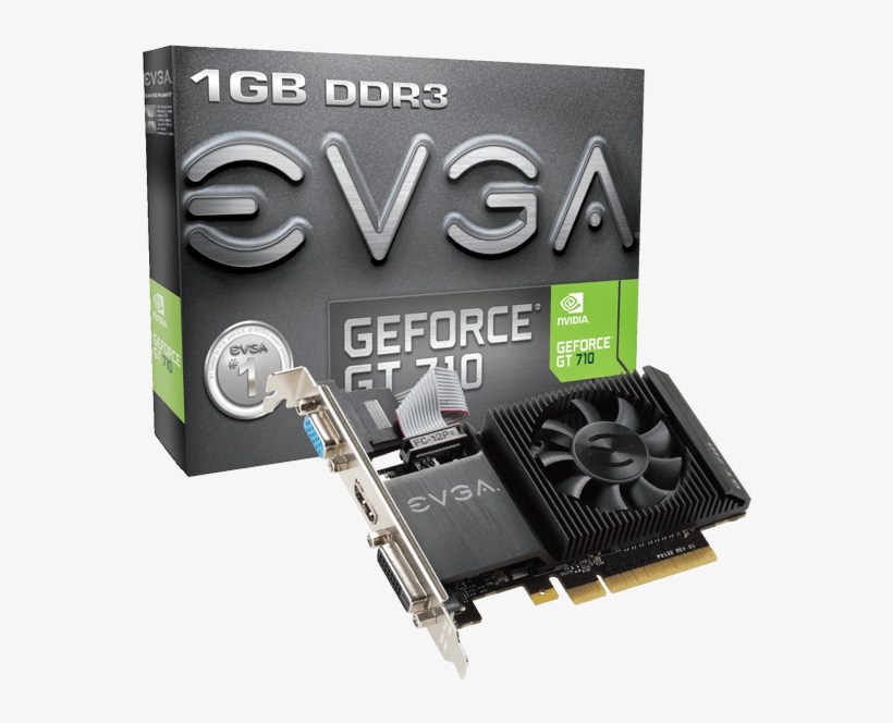 Evga Geforce Gt 710 1gb - Evga Geforce Gt 710 2gb Ddr3, transparent png #1775755