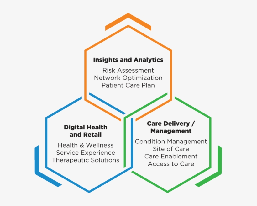 Companies In The Portfolio, According To Published - Diagram, transparent png #1777848