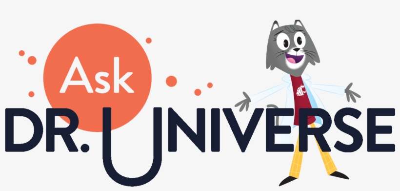 Ask Dr - Universe - Job, transparent png #1777877