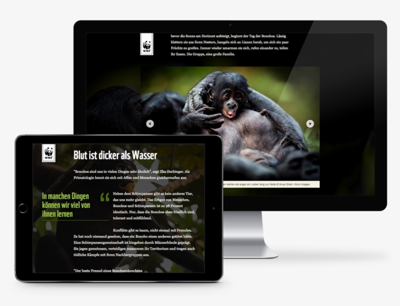 Save The Bonobos - Website, transparent png #1779069