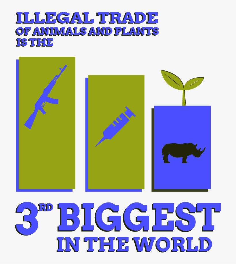 Dataviz Biodiversite English 08 1 - Poster, transparent png #1779338