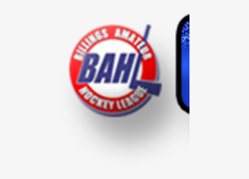 Usa Hockey - Campaign - Label, transparent png #1779501