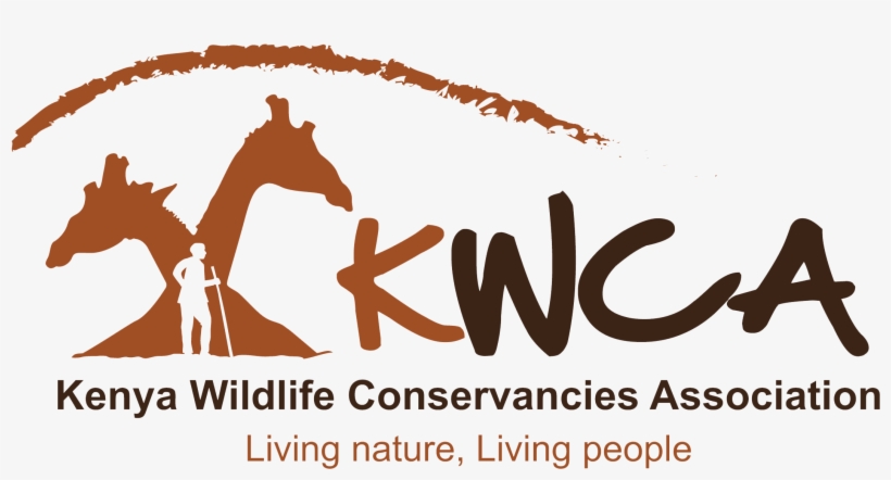 About Us - Amendment, transparent png #1782221