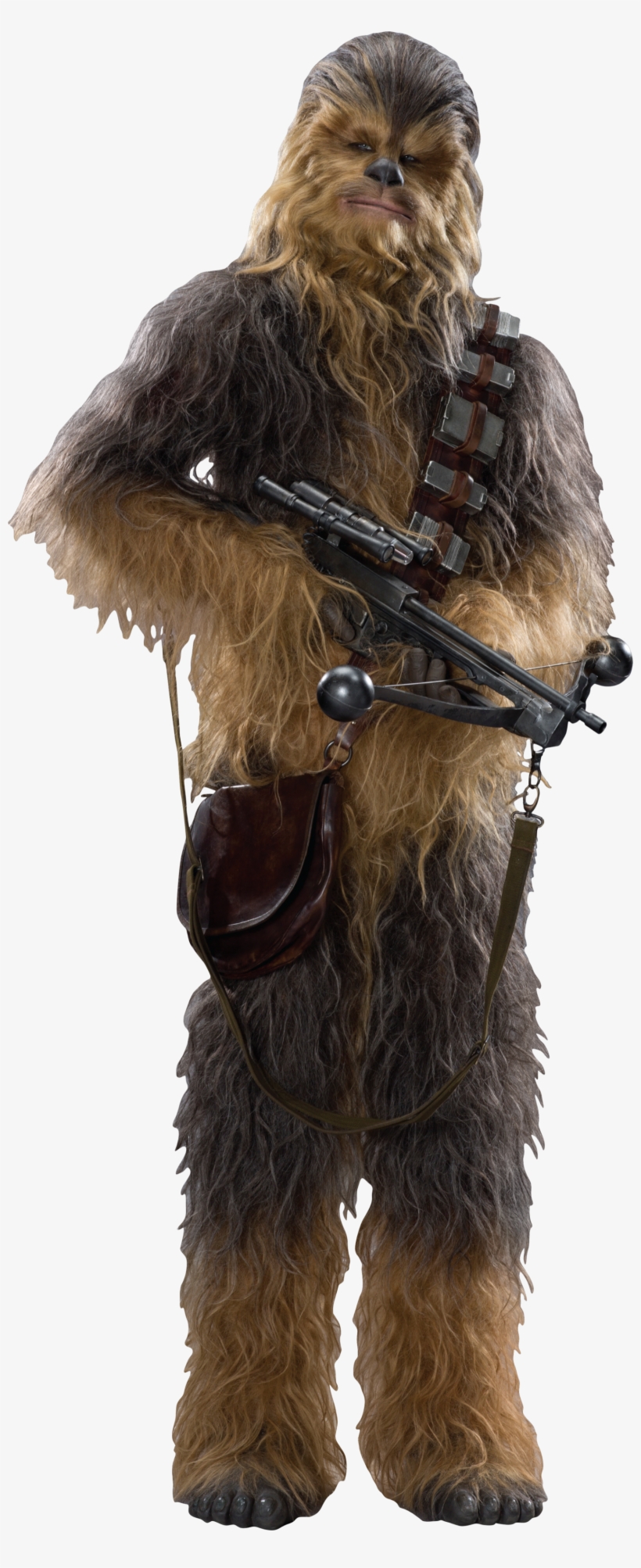 Banner Royalty Free Download Image Tfa Fathead Png - Chewbacca Star Wars Vii Cardboard Cutout Standup, transparent png #1782691