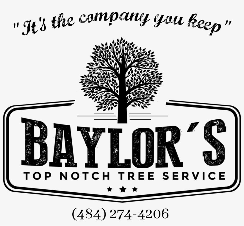 Baylor's Top Notch Tree Service Is A Locally Owned - Black And White Tree Canvas Print - Small, transparent png #1782754