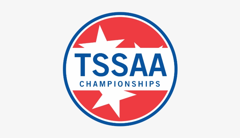 Baylor Beats Father Ryan, Advances At State Volleyball - Tssaa Championships, transparent png #1782917
