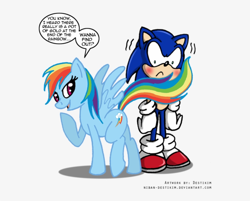 Sonic Team By Niban Destikim-d4dw2nw - Rainbow Dash And Sonic, transparent png #1783805