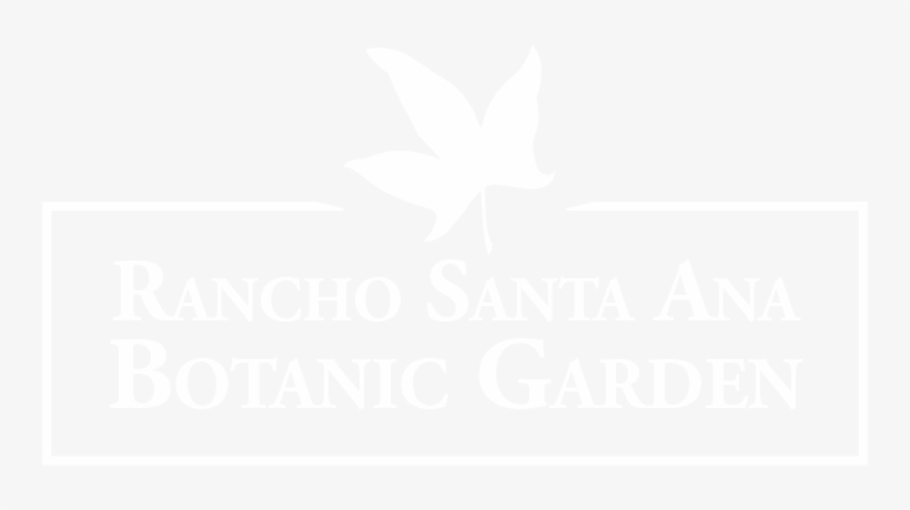 Awards - Graphic Design, transparent png #1784603