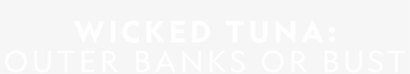 Watch Wicked Tuna - Queensland Government Logo White, transparent png #1784710