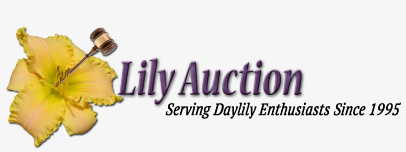 Lily, transparent png #1785752