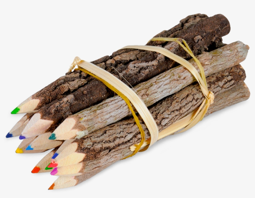 Website Category Image Children 1 - Driftwood, transparent png #1786270