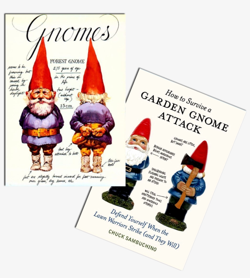“has A Senostatic, Rather Than A Senolytic - Gnomes Wil Huygen, transparent png #1787599