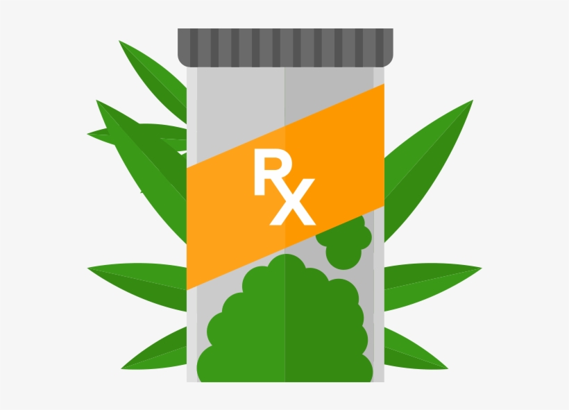 Rose Bush Clipart Entourage - Medical Marijuana Transparent, transparent png #1788734