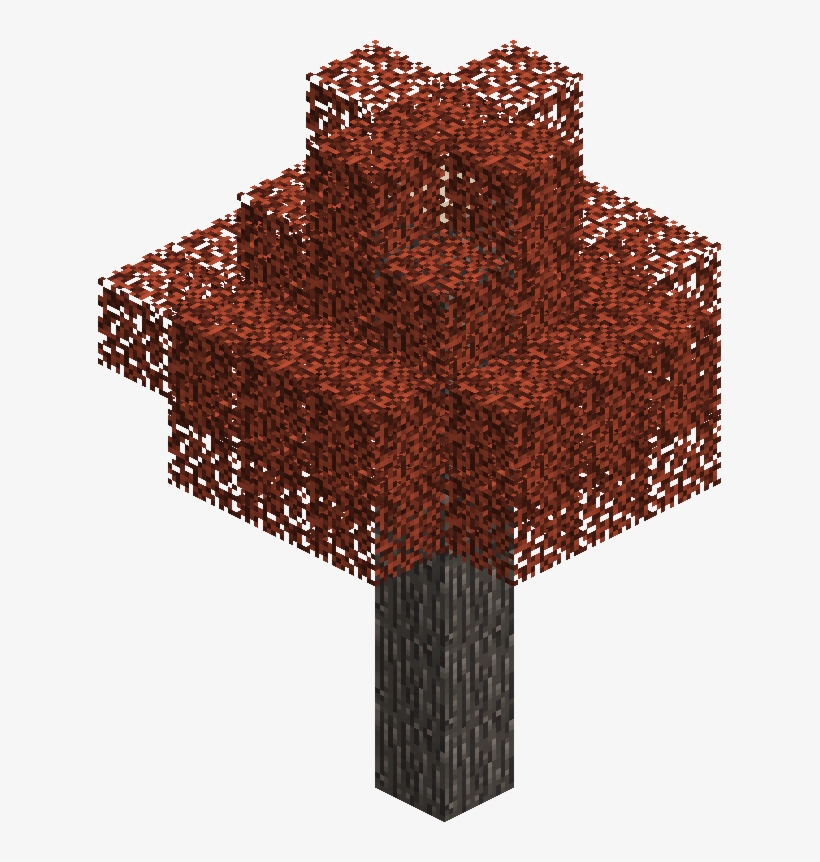 Mapletree - Tree, transparent png #1789438