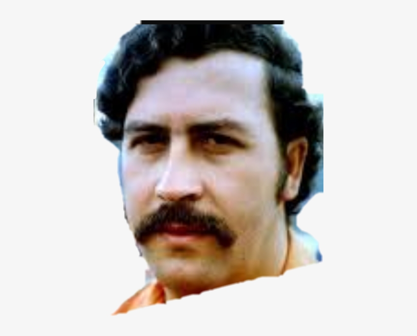 Report Abuse - Pablo Escobar, transparent png #1790181