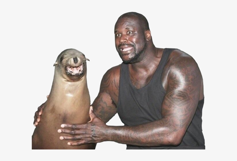 Banner Transparent Shaq Transparent Smile - Shaquille O Neal With Seal, transparent png #1790615