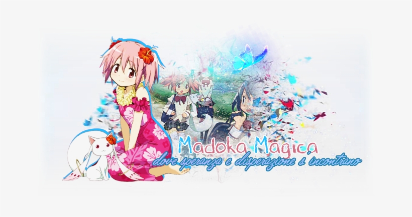 Madoka Magica Forum ~ Dove Speranza E Disperazione - Madoka Magica Vol.2 Dvd, transparent png #1791136