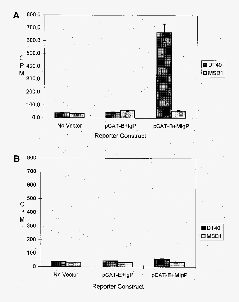 A, Bmresults Of Cat Assays , Using The Multiple Ig - Diagram, transparent png #1791414