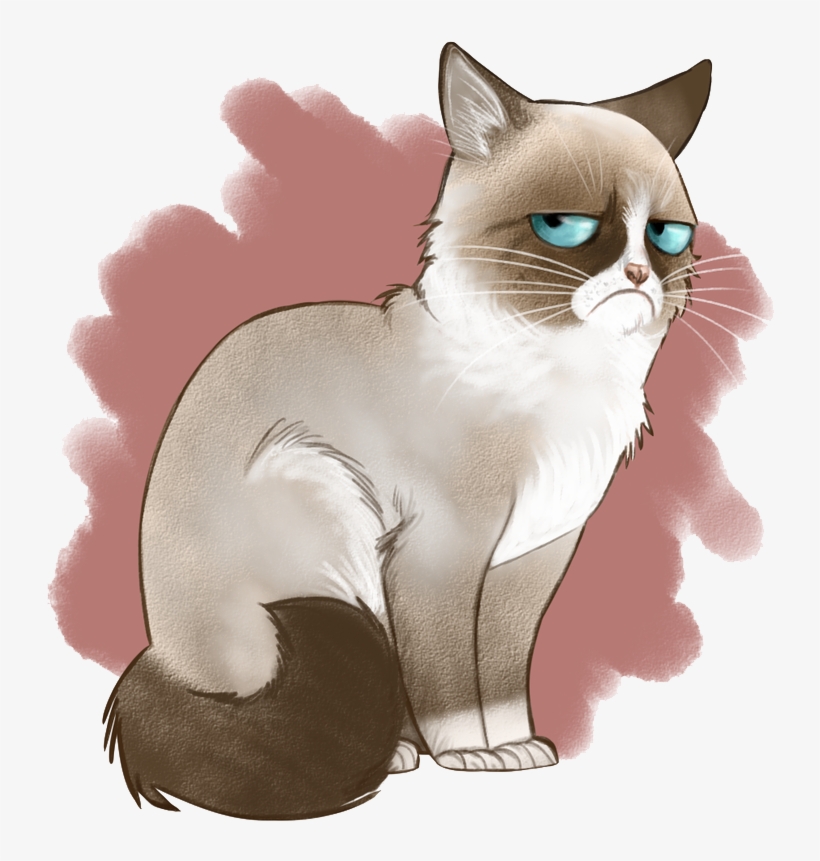 Angry Cat Png Image Background - Cross Stitch Grumpy Cat, transparent png #1792117