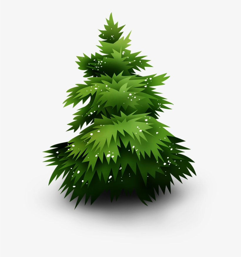 Christmas Tree - Spruce, transparent png #1794799