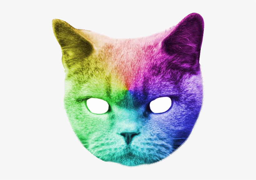 Stephen King With Cats, transparent png #1794920