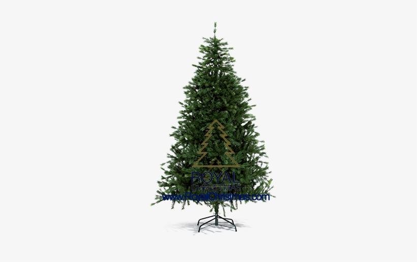 That Makes The Artificial Christmas Tree Look Realer - Pine Tree For Christmas, transparent png #1794922