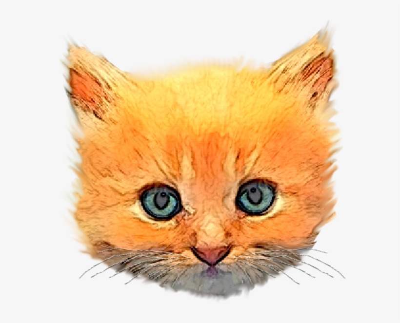 Free Images At Clker Com Vector Clip - Kitten Head Png, transparent png #1795203