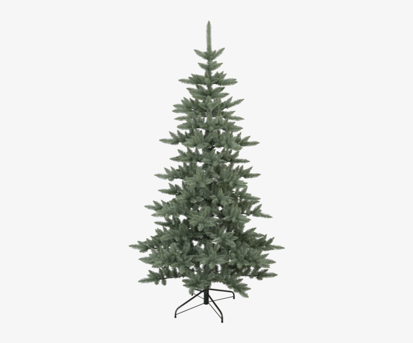 Christmas Tree Royal Blue - Balsam Fir Christmas Tree, transparent png #1795291