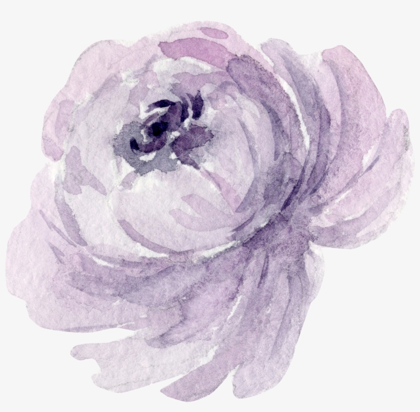 Flr - Garden Roses, transparent png #1796320