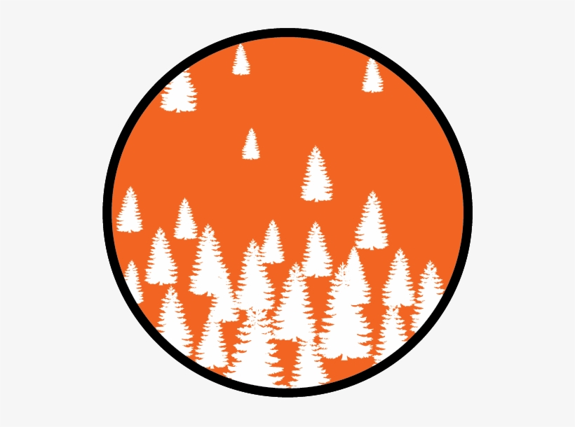 Forest Dynamics At Arctic Treeline - Nature Design, Mildew Proof And Waterproof Washable, transparent png #1796547