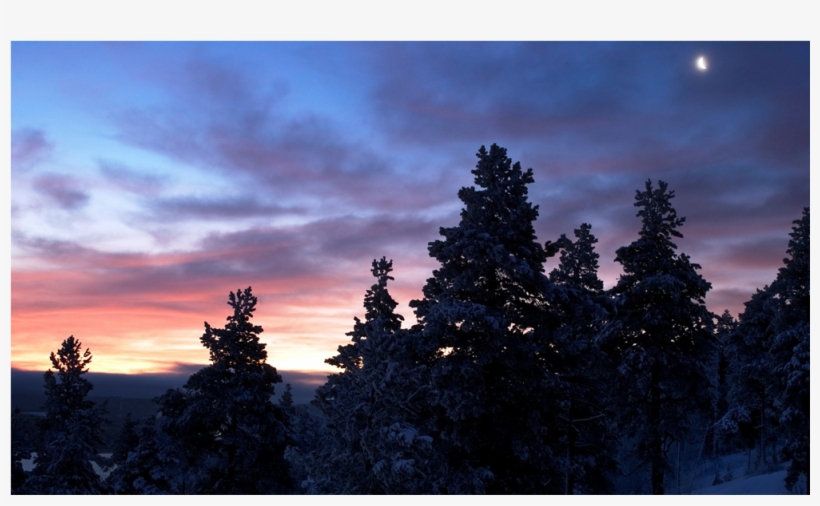 Ожидание Весны Это Как Ожидание Рая Vk, transparent png #1796680