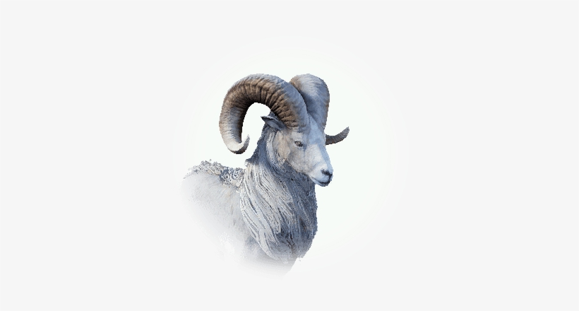 Knowledge Kamasylvia Mountain Black - Transparent Png Mountain Goat Horns, transparent png #1796839