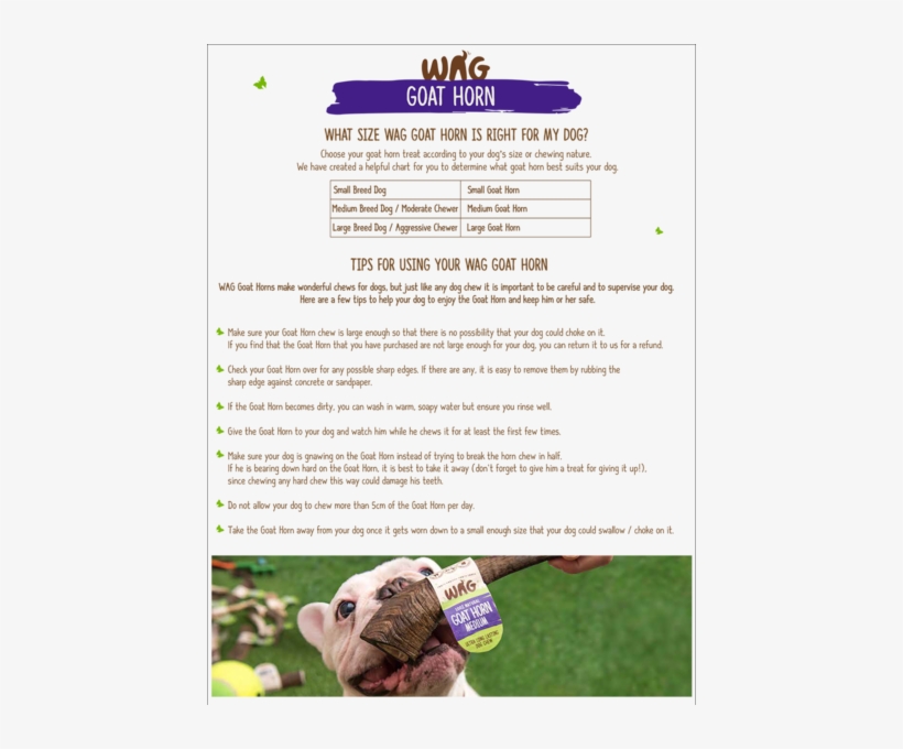 Wag Goat Horn - Hunting Dog, transparent png #1796991