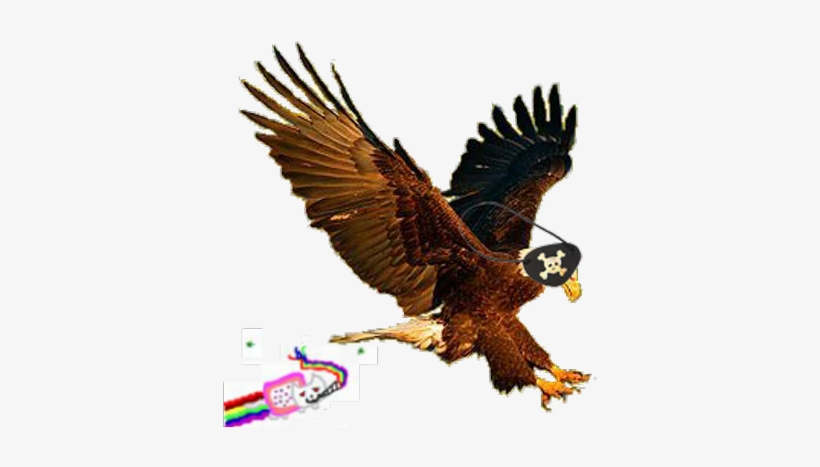 Anyanymous Lulzism - Bald Eagle, transparent png #1797011