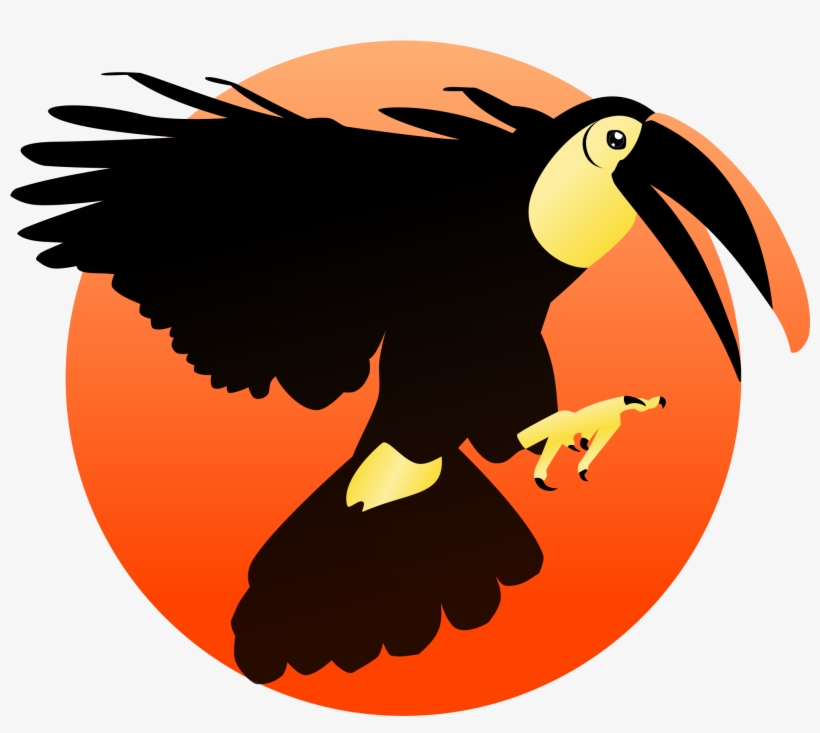Bald Eagle Toucan Woodpecker Bird Beak - Beak, transparent png #1797454