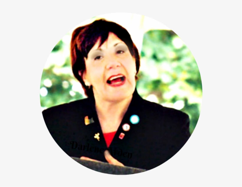 Purrs Of Remembrance For Pet Expert Darlene Arden - Flash Photography, transparent png #1798627