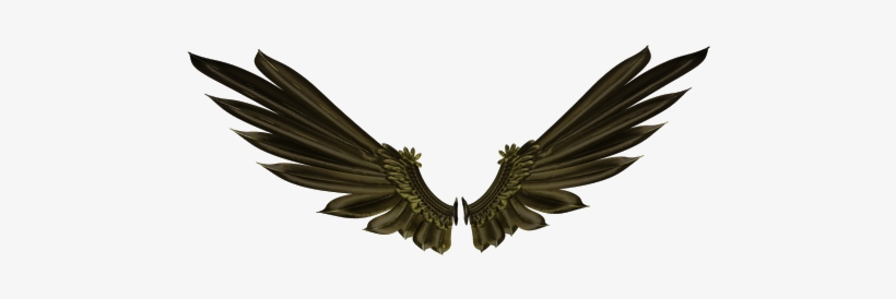Bird Wings Png - Raven Wings Png, transparent png #1799386