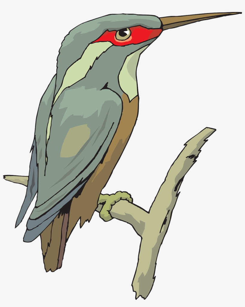Bird Wings Beak Feathers Transparent Image - King Fisher Clipart, transparent png #1799438